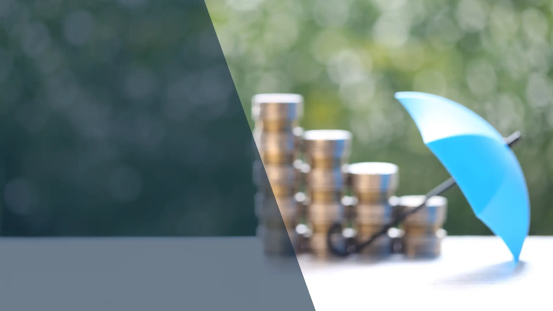 Investment Committee