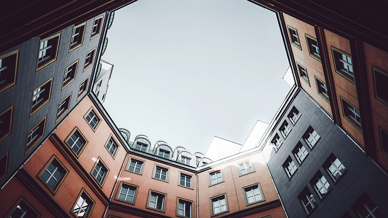 Professional Network